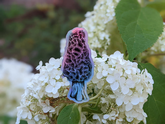Morel Holographic Stickers 3"